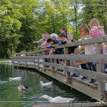 Slovenia Eco Resort Stahovica 外观 照片