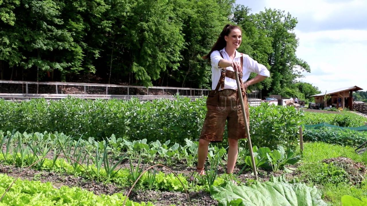 Slovenia Eco Resort Stahovica 外观 照片