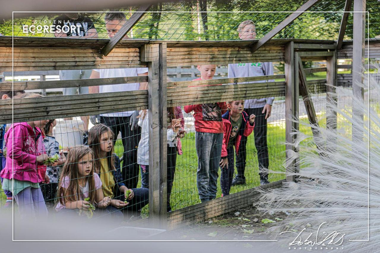 Slovenia Eco Resort Stahovica 外观 照片