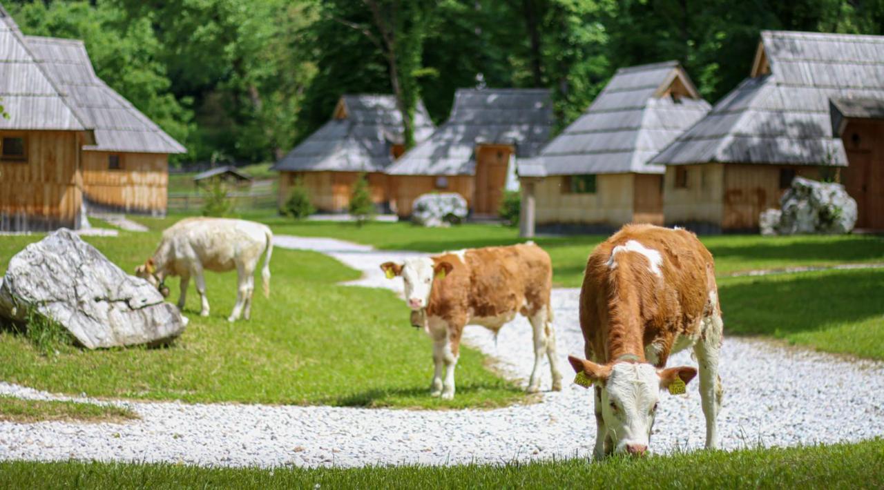 Slovenia Eco Resort Stahovica 外观 照片