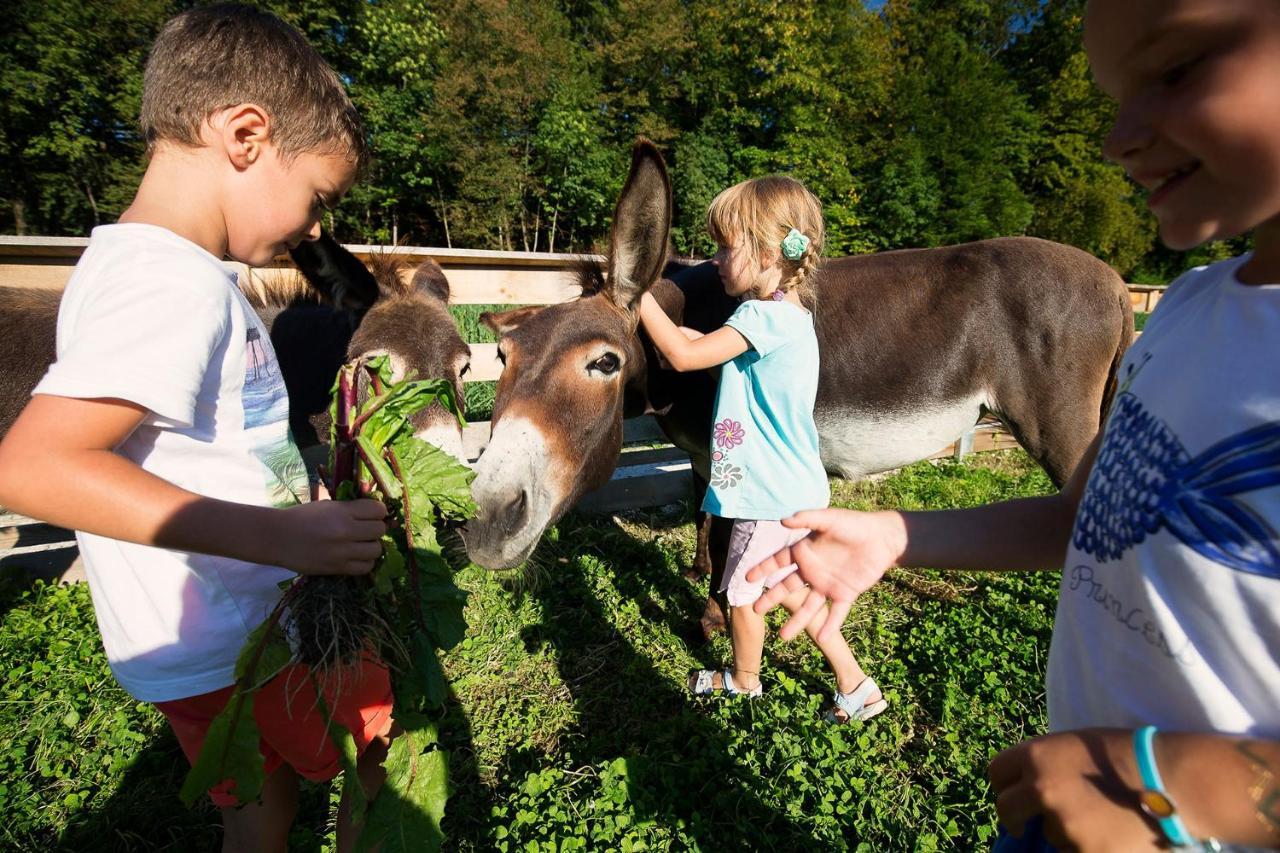 Slovenia Eco Resort Stahovica 外观 照片