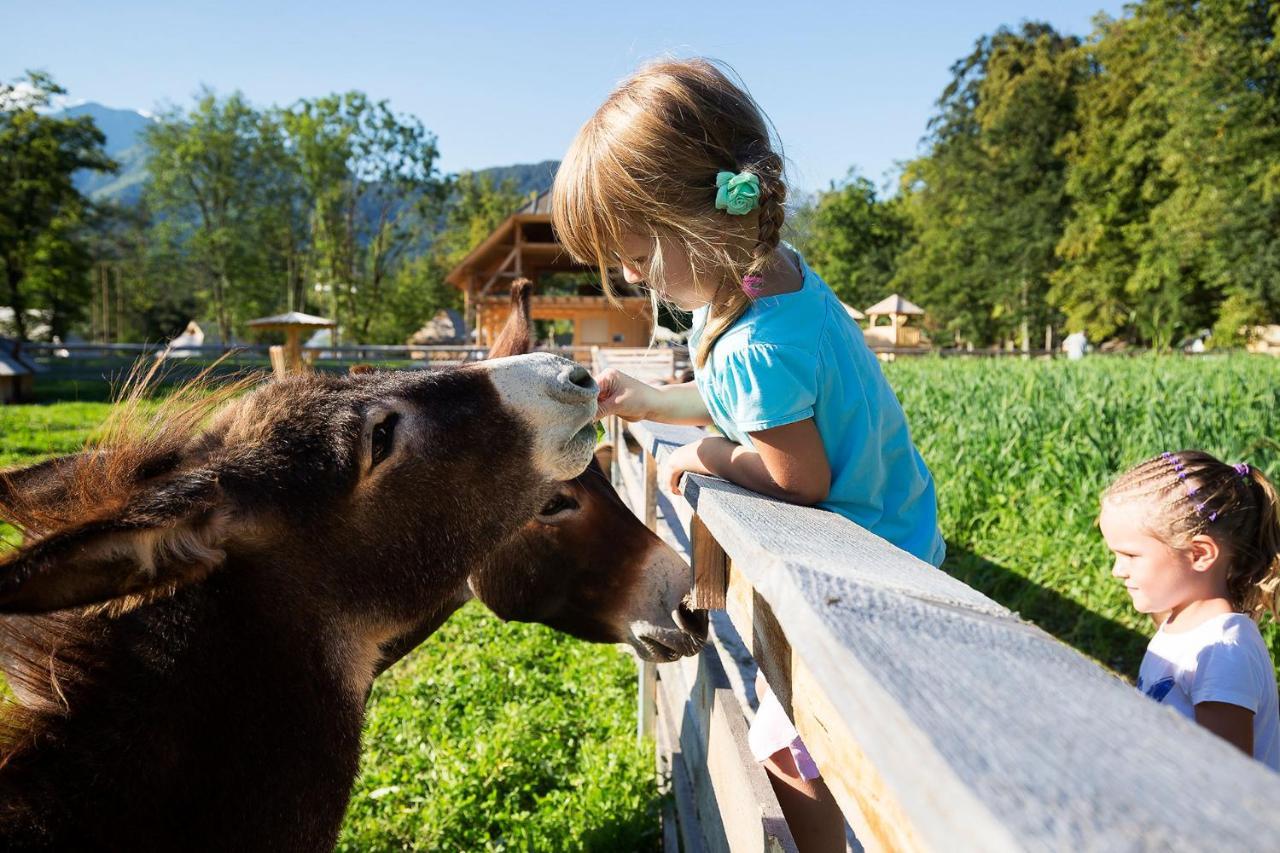 Slovenia Eco Resort Stahovica 外观 照片