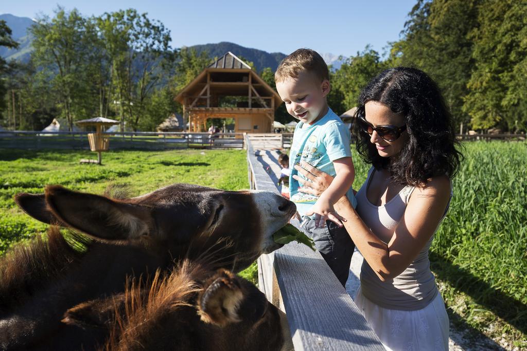 Slovenia Eco Resort Stahovica 外观 照片